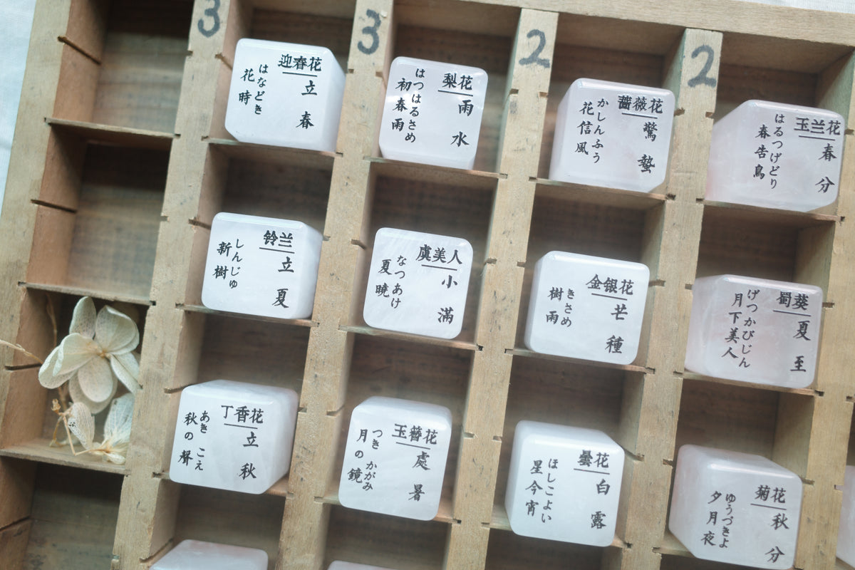 【二十四节气·时令花】小石头系列手帐印章