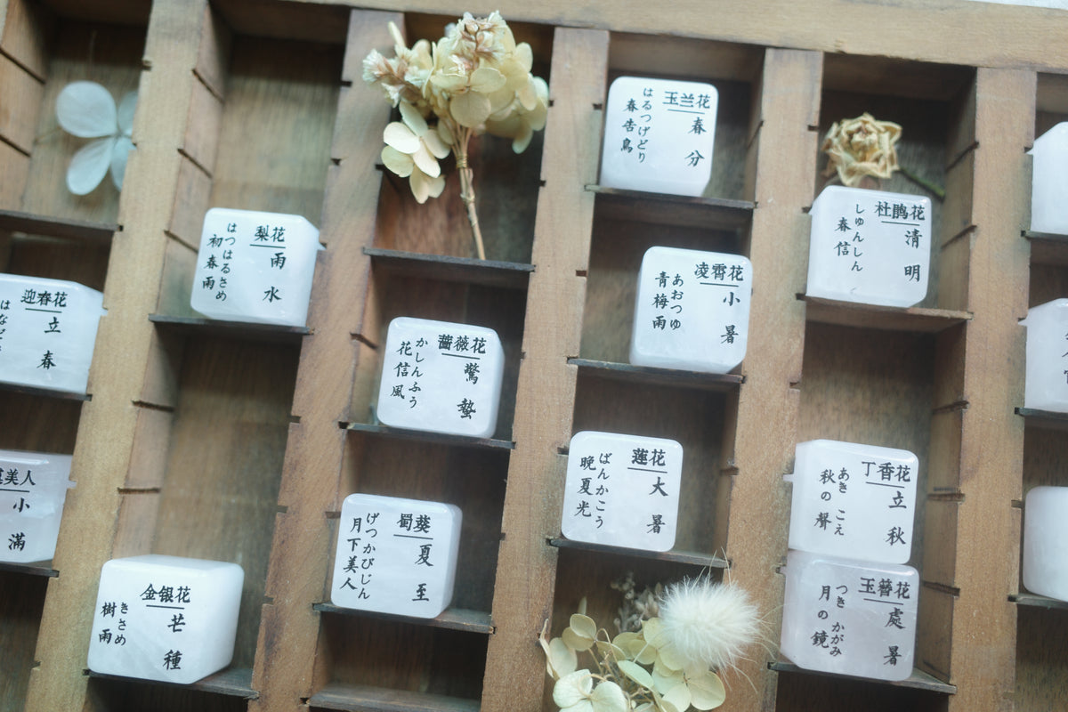 【二十四节气·时令花】小石头系列手帐印章